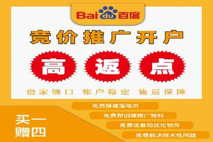 知名SEM运营公司实战案例解析